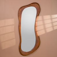 Asymmetric S-Shaped Mirror — thumbnail