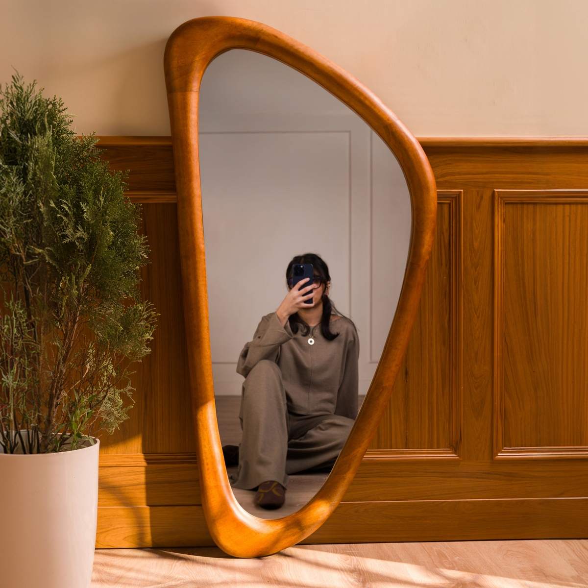 Asymmetric Abstract Mirror