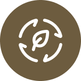 Custom Image