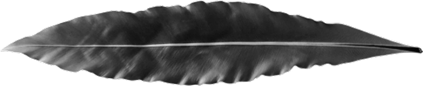 Wing